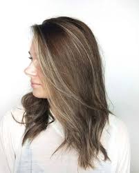 Sofia vergara's sun kissed brown hair. Prettiest Light Brown Hair With Highlights