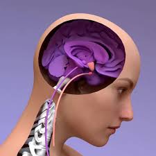 Estamos con el Dr. Federico Robles que nos va a contar de la primera  ablación cardíaca realizada en Salta con un equipo de navegacion 3D  #saltabebé...