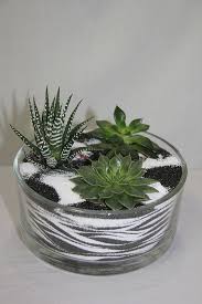 Small Garden In A Glass Bowl Arrangements Ideas With Succulent Plants Succulents In Glass Succulent Terrarium Planting Succulents