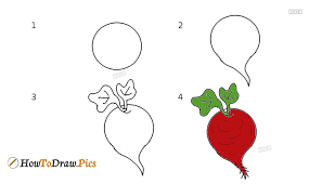 How To Draw A Beetroot Easy Step By Step Drawing Over 4,473 beetroot pictures to choose from, with no signup needed. how to draw a beetroot easy step by