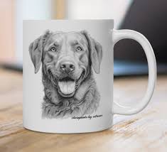 Image result for chesapeake bay retrívr