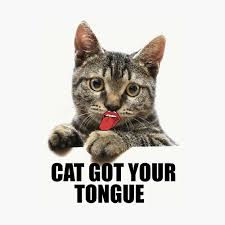 The origin of the phrase 'has the cat got your tongue?' isn't known. Cat Got Your Tongue Poster By Dolceandbanana Redbubble