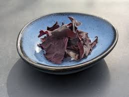 Image result for Merremia palmata