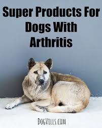 5 Super Products For Dogs With Arthritis Dog Vills Dog Arthritis Dog Arthritis Remedy Elderly Dogs