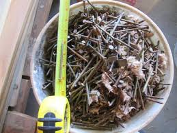 Последние твиты от bucket of nails (@bucketofnails1). 5 Gallon Bucket Of Nails See Photo Auction Halted Power Concrete Tools Building Materials Trim Wood Nails Hardware Lights More K Bid