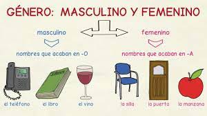 El género de los adjetivos. Aprender Espanol El Genero Masculino Y Femenino Nivel Basico Youtube