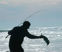 Local charleston fish species and information and sc fishing license info. Fishing Reports Coastal Carolina Fisherman