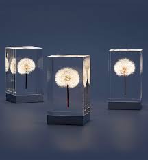 oled tampopo ライト crafts design タンポポ インフォグラフィックデザイン アクリル