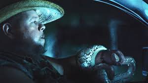 Film & TV Festival Lineup | SXSW Conference & Festivals