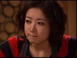 Stars Falling from the Sky (TV Series 2010– )