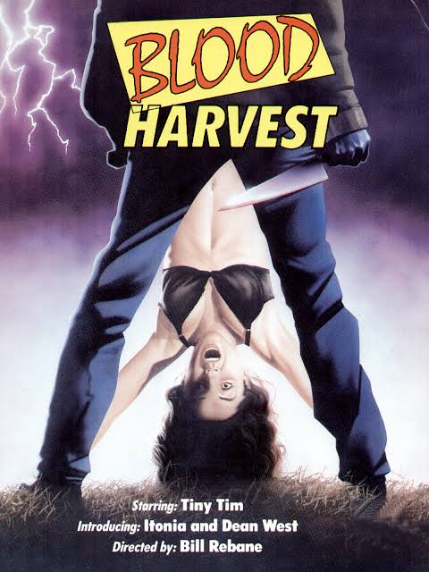 Twister's Revenge! (1988) - IMDb