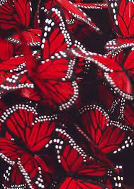 Check spelling or type a new query. Aesthetic Butterfly Wallpaper Red Largest Wallpaper Portal