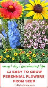 13 Easy To Grow Perennial Flower From Seed Crafty For Home Easiest Flowers To Grow Flowers Perennials Perenial Flowers