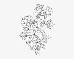Its actually autumn now in australia lol. Flower Png Doodle Pack Peony Drawing Transparent Png Image Transparent Png Free Download On Seekpng
