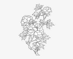 Maybe you would like to learn more about one of these? Flower Png Doodle Pack Peony Drawing Transparent Png Image Transparent Png Free Download On Seekpng