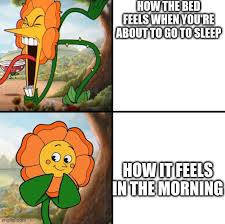 I just want flowers meme. Angry Flower Memes Gifs Imgflip