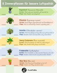 Bessere Dicke Diese Fuer Gartenarbeitkalender Luft Luftqualitaet Zimmerpflanzen 6 Zimmerpflanze Organic Gardening Tips Organic Gardening Gardening Tips