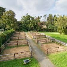 Overnight Stalls Dream Horse Barns Horse Shelter Horse Barn Plans