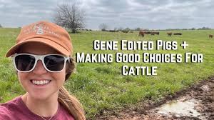 Animal Health & Nutrition