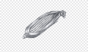 Check spelling or type a new query. Menggambar Lukisan Jagung U925bu7b46u753b Sketsa Jagung Suasana Fotografi Png Pngegg