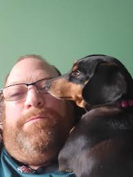 Celebrating 8th Gotcha Day with our beloved pet