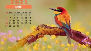 From tablets that let you surf the net to readers devoted solel. June 2021 Calendar Wallpapers Pixelstalk Net