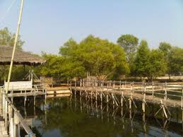 Pemancingan Mangrove About Tangerang