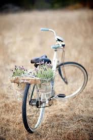 Pin Von Gundula Baumert Auf Schone Bilder Altes Fahrrad Lavendel Fahrrad