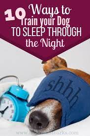 Helping Your Puppy Sleep Through The Night Puppy Sleeping Sleeping Puppies Easiest Dogs To Train Puppy Training