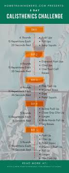 Coke Diabetics Diet Dietician Gifts Planner Themed Diet Coke Themed Gifts For Diet Calisthenics Workout Routine Diamond Push Ups Workout Posters