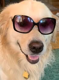 My best friend ever, his name is Henry. What a personality.😁