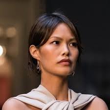 Person of Interest Cast & Crew