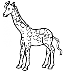 Adult coloring pages of animals are a great way for older 'kids' to get their color on. Giraffe Coloring Pages For Adults