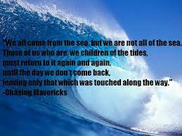 Pin By Vanessa Flohr On Quotes Surfing Some Love Quotes Chasing Mavericks
