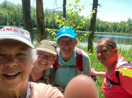 Scamp owner's unusual trade offer experience