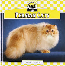 Alibaba.com offers 1,242 cats persian products. Buy Persian Cats Cats Set 1 Book Online At Low Prices In India Persian Cats Cats Set 1 Reviews Ratings Amazon In