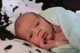 Former Cal QB Mendoza throws 5 TD passes as No. 19 Indiana pounds No. 9  Illinois 63-10