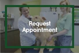 We offer free initial exams for new clients. Veterinarian Animal Hospital In Memphis