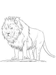 Here are some images of lions tot print and color. Animals Coloring Pages 100 Printable Coloring Pages For Kids