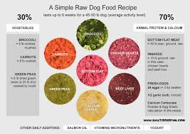 Homemade Raw Food Recipe For Dogs