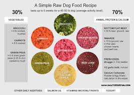 homemade raw food recipe for dogs