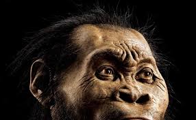 Check spelling or type a new query. Aufgabe Abitur Homo Naledi Https Epub Uni Regensburg De 41109 1 Dimos F C3 Bcllhorn 204 Tagungsband 20kronstadt Pdf But Why Label The Remains Homo Naledi If There Is So