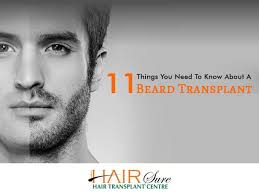 Forum discussions, blogs and sharing since. 11 Things You Need To Know About A Beard Transplant Cyber Hairsure