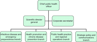 Public Health Agency Of Canada Organization Chart 2007