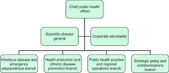 public health agency of canada organization chart 2007