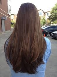 Highlight On Dark Brown Hair Hairstyle Haircut Long Hair Styles Hair Styles Long Straight Layered Hair