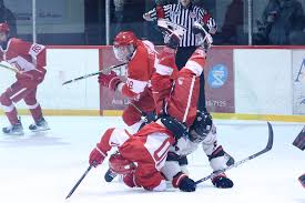 GALLERY: Gallagher gets two in Beavers' win over Red Wings