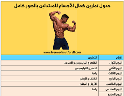 جدول تمارين كمال الاجسام للمبتدئين بالصور كامل Workout Workout For Beginners Beginners