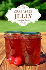 Homemade Crabapple Jelly With No Added Pectin Recipe Crabapple Jelly Recipe Jelly Recipes Crab Apple Recipes
