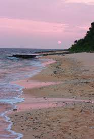 Buchen sie ihre ferienwohnung ganz schnell online. Beach Of Peace On Twitter Hoshizuna No Hama Star Sand Beach Iriomote Japan Beach Starsand Iriomote Nature Ocean